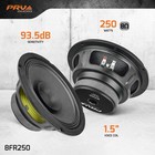 Prv Audio 8fr250 8 Inch Full Range Speaker  8 Ohms  250 Watts Continuous Prog   