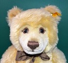 Vintage Steiff German Mohair Blonde Bear With Button Ear Tag  Long Nose   010408