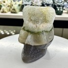 1 1lb Natural Agate Carved Crystal Skull Realistic Crystal Healing