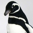 Hansa Stuffed Doll Magellanic Penguin Bh7083 Plush Doll New