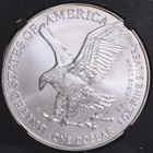 2025 1 Oz American Silver Eagle Coin-with Capsules