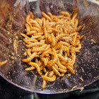    peanut Beetle Culture With Habitat        live Food For Fish  Frogs  Geckos    More