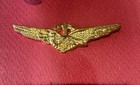Oryon Italian R s i  Republican Air Force Pilot  Badge  art  0101 
