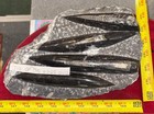        Nice Orthoceras Plate 10    X 6    Polished Devonian Fossils 4 Pounds 6 Ounces