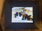 Sungale 8  Digital Photo Frame With Remote  Slideshow  Plays Music   Video Ad801