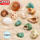Hermit Crab Shells Medium And Large - 12pcs Growth Turbo Seashells Size 1 18 -3 