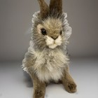Vintage Hansa Jack Rabbit Realistic Animal Plush 9  Easter Bunny Rabbit