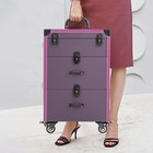 Professional Makeup Train Case Travel Makeup Trolley Rolling Cosmetic Case  keys