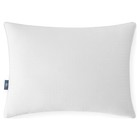 Sertapedic Won t Go Flat Standard queen Bed Pillow  Hypoallergenic