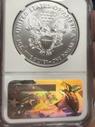 2017 American Silver Eagle Ngc Ms70 First Releases 225th Anniversary Ase