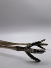 Whiting Sterling Silver Bird Claw Talon Sugar Tongs Antique Victorian Figural