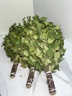 24 Birch Brooms New Season 2026 Sauna Banya Venik Eiche Whisks Eco Ukrainian