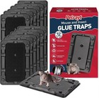 Mouse   Insect Traps 12 Pack  Heavier Sticky Traps With Non-toxic Glue For Mice
