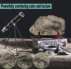 Faux Dinosaur Fossil Realistic Skeleton Velociraptor Figure Dino Bones Art Decor