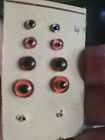 Antique Teddy Bear Set Of 4 Miniature Colored Glass Eyes For Steiff Animals Too