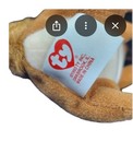 1999 Mcdonald s Happy Meal Ty Teenie Beanie Baby Strut The Rooster New