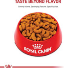 Royal Canin Breed Health Nutrition French Bulldog Adult  Dry Dog Food  17 Lb Bag