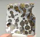 Brahin Pallasite Meteorite - Gomel Region  Belarus
