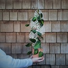Climbing Monstera Plant Trellis