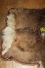Whitetail Deer Mount Rug Tanned Leather Taxidermy Fur Hide Pelt Mule