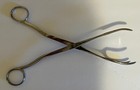 Vintage Antique Medical Forceps - Vantage Stainless