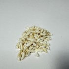 Lot Of 100 Assorted Small Coyote Teeth Real Cleaned Taxidermy Weird Goth  4095