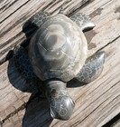 Marble Turtle Sculpture Ecuador Artists