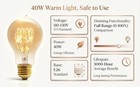 Edison Light Bulb 40w   2 Pack A19 Old Fashioned Vintage Incandescent 40 Watts 2p
