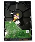 Western Digital Wd2500aakx 7200rpm 250gb Sata 3 5   Desktop Hdd Hard Disk Drive