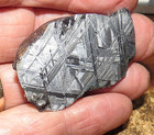 62 Gm  Muonionalusta Meteorite Quad Cut Etched  Sweden Std  Slab  14 