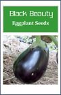 Black Beauty Eggplant Seeds   Non-gmo Eggplant Seeds   Heirloom Garden Seeds