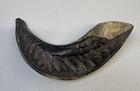 Shofarot-israel Kosher Ram s Horn Shofar