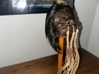 Traditional Model Jivaro Shrunken Head -tsantsa