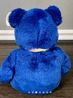 Ty Beanie Baby Buddy  clubby  The Bear