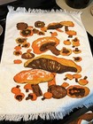 Vintage Mushroom Kitchen Hand Towels Set Of 2 