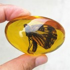 Beautiful Amber Butterfly Fossil Insects Manual Polishing