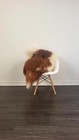 Icelandic Sheepskin Rug   Scandinavian Sheepskin Rug  Soft Silky Long Wool  c275