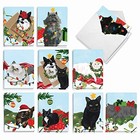 - 20 Assorted Boxed Merry Christmas Note Cards With Purr-fect Holiday