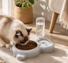 2 In 1 Dog Cat Food Water Bowl Automatic Water Dispenser Pet Feeder  Rive
