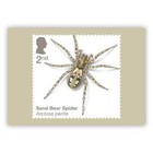Gb 2024 Spiders Phq Postcards Set Of 10  Mint Sealed Pack  Issue Date 26 09 2024