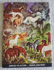How To Draw Horses By Walter Foster 1950s Vintage Art Book