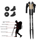 2x Trekking Poles Nordic Walking Hiking Sticks Anti-shock Adjustable Alpenstock