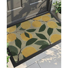 Front Door Mat 17x30 Outdoor Indoor Heavy Duty Doormat Carpet For Entrance Floor