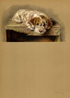 1940s Vintage Sealyham Terrier Print Wall Art Decor Lucy Dawson Art 5440k