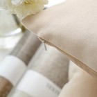 Pack Of 2 Velvet Decorative Throw Pillow Covers Soft Solid Square Cushion Cas   