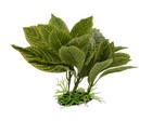    Aquarium Fish Tank Green Lifelike Underwater Plastic Plant Aquatic Water Gr   