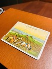 1910 Indian Life In The 60 s  scent Of Tobacco   hassan Cigarette Tobacco Card