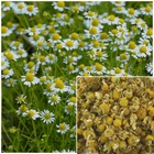 Chamomile Flowers  Organic  Soap Making Supplies  Herbal Extracts 