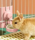 Small Pets Water Feeder Rabbit Water Bottle Pets Water Fountain Gravity Water