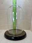 Vtg Display Case Cloche Glass Dome 8 5 Inches Tall 5 5 Inch Diameter Dark Walnut